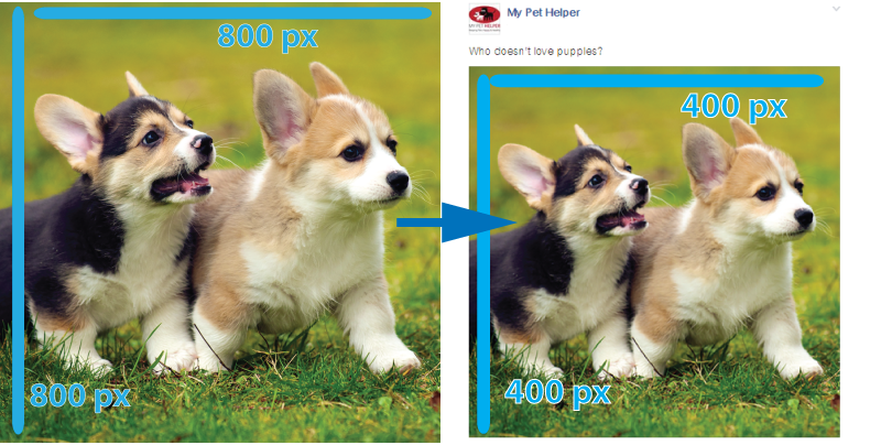 fb image1