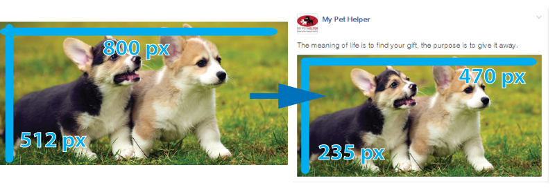 fb image2