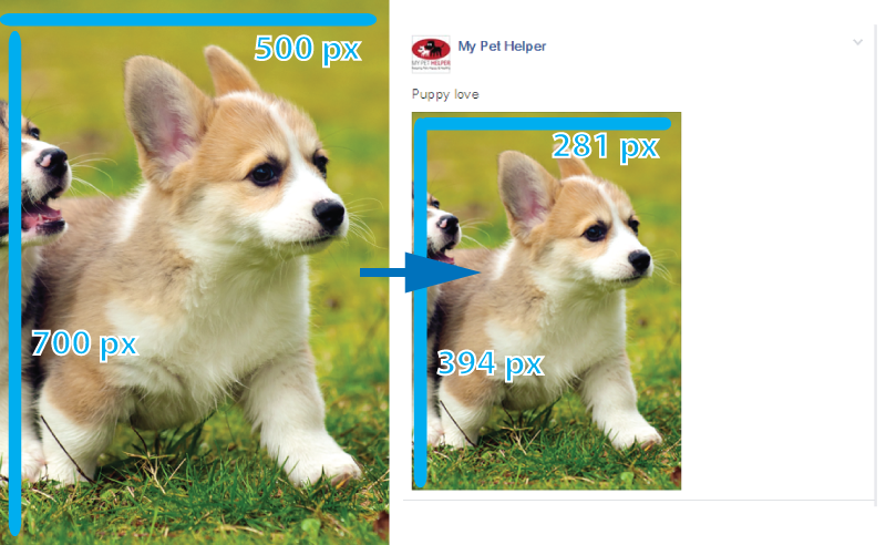 fb image3
