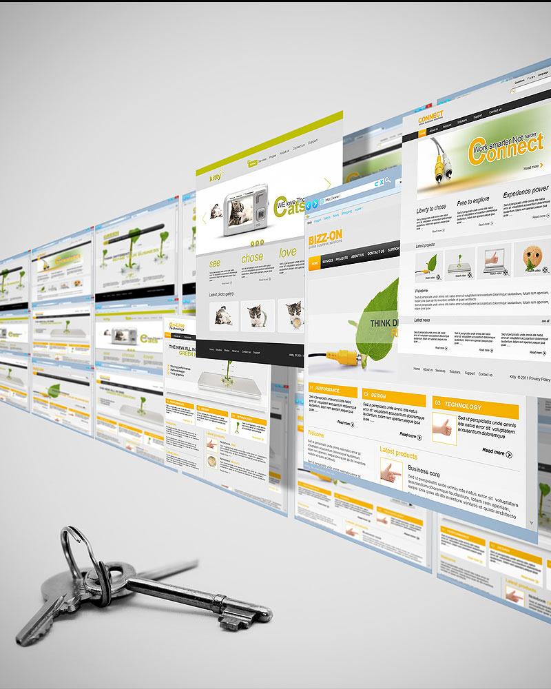SmartWebsites™